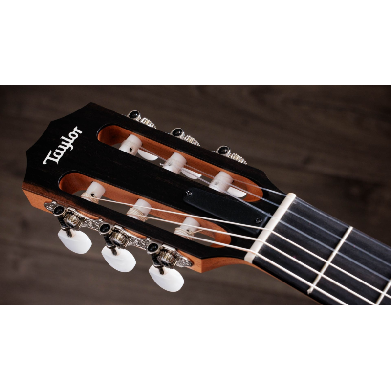 Taylor 212ce-N Plus Corde in Nylon Grand Concert