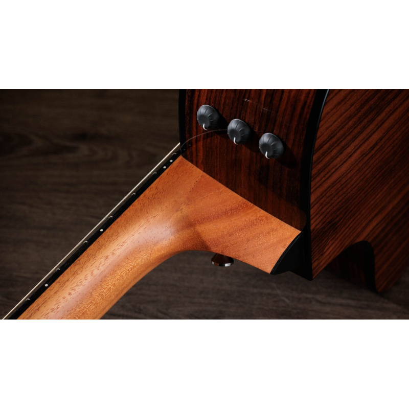 Taylor 212ce-N Plus Corde in Nylon Grand Concert
