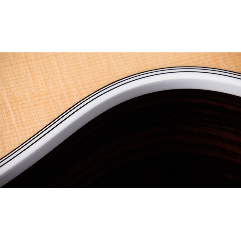 Taylor Legacy 855e Limited to 250 units worldwide 12 corde