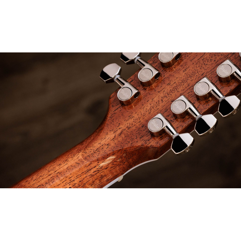 Taylor Legacy 855e Limited to 250 units worldwide 12 corde
