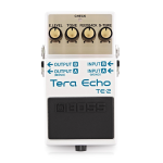 Boss TE2 Tera Echo Effetto Eco a Pedale per Chitarra