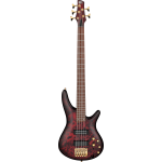 Ibanez SR305EDXWZM El Bass 5St