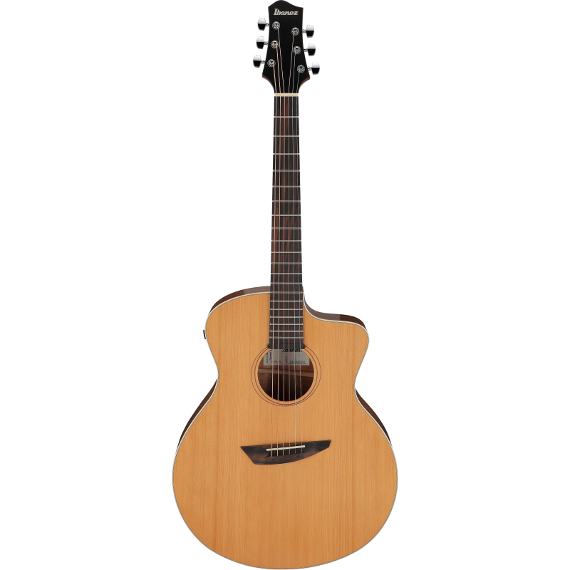 Ibanez PA230ENSL El Ac Gtr W/Bag
