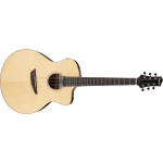 Ibanez PA300ENSL El Ac Gtr W/Bag