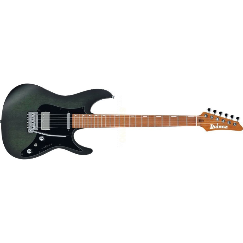 Ibanez EH10-TGM Transparent Green Matte
