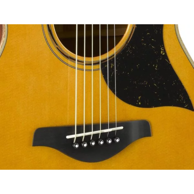 Yamaha AC5M ARE VN Vintage Natural