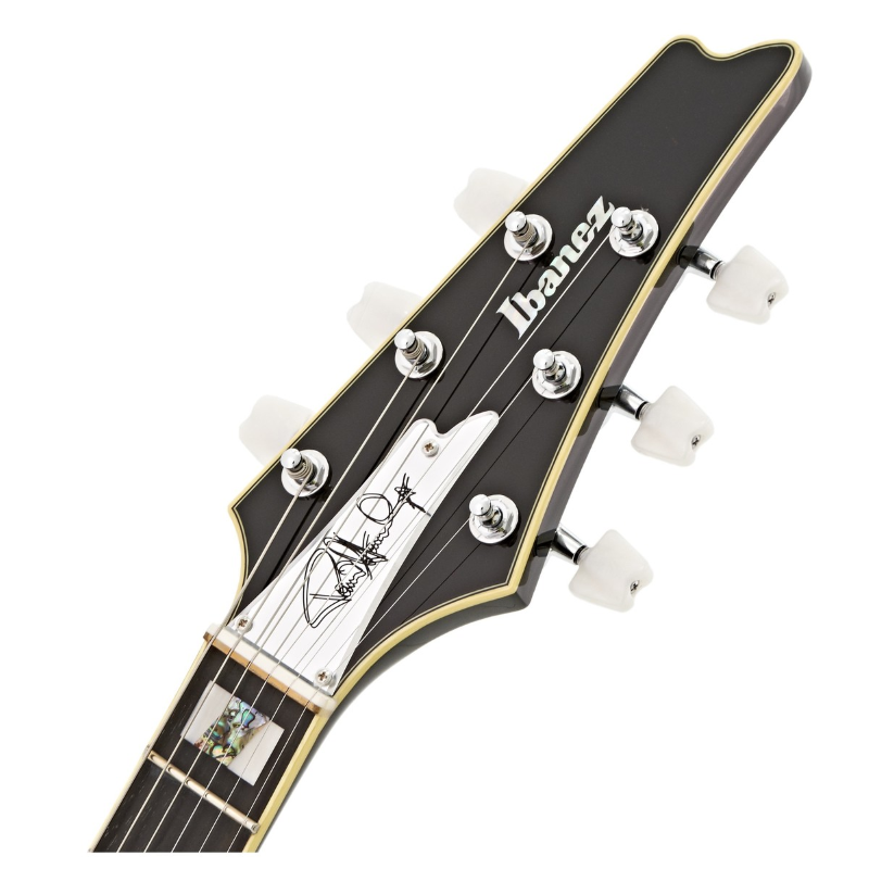 Ibanez PS10-BK Black