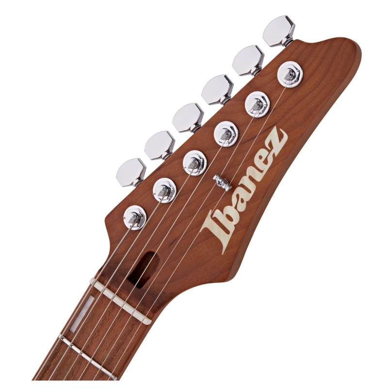 Ibanez EH10-TGM Transparent Green Matte