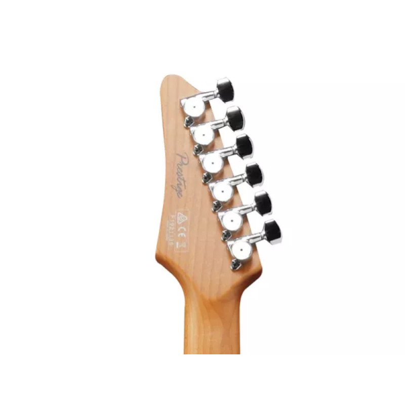 Ibanez AZ2204BBK Black