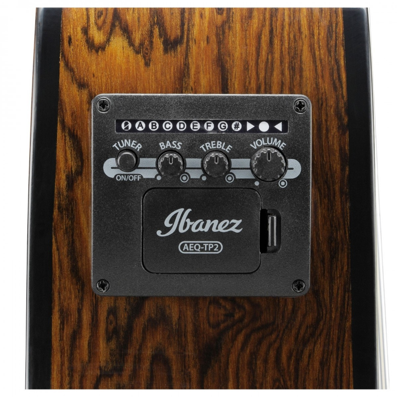 Ibanez AEG74NMHS Chitarra Acustica Pickup undersaddle T-bar Ibanez