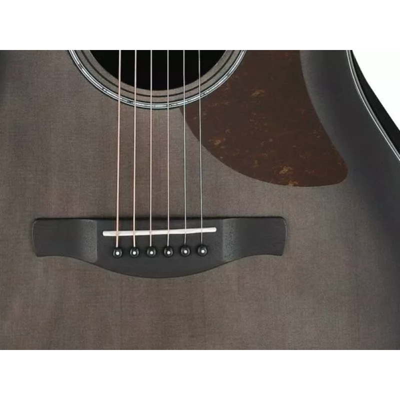 Ibanez AAM70CETBN Chitarra Acustica Preamplificatore Ibanez AEQ-TP2 con accordatore integrato