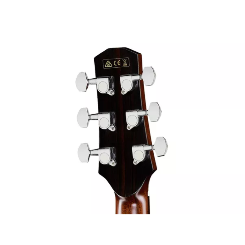 IBANEZ AAD400CE LGS Natural Low Glos Complrta di Astuccio 