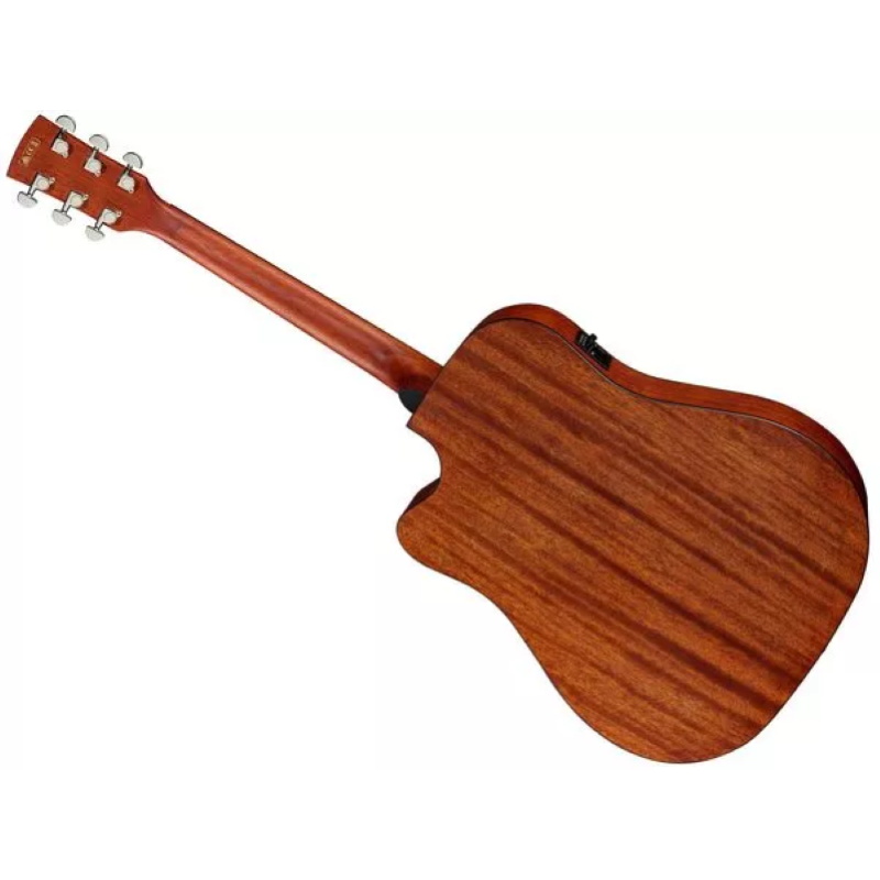 Ibanez PF10CE-OPN - Chitarra acustica elettrificata Natural Open Pore 