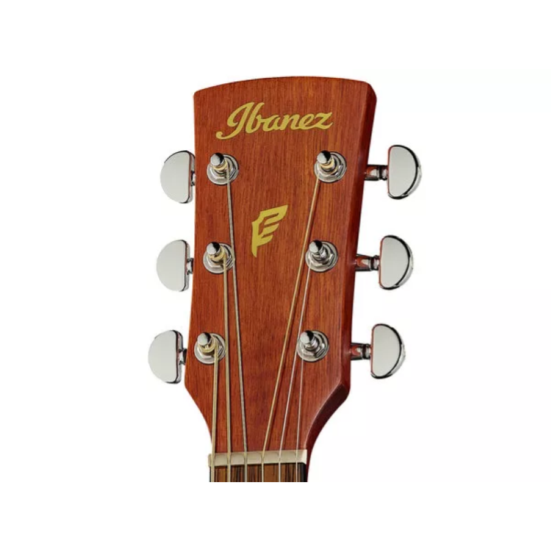 Ibanez PF10CE-OPN - Chitarra acustica elettrificata Natural Open Pore 