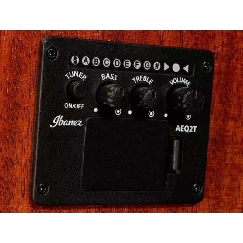 Ibanez PF10CE-OPN - Chitarra acustica elettrificata Natural Open Pore 