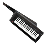 KORG RK-100S2-BLK