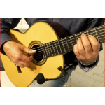 Audio design Pa Mag Microfono a Condensatore per Chitarra Acustica Orientabile