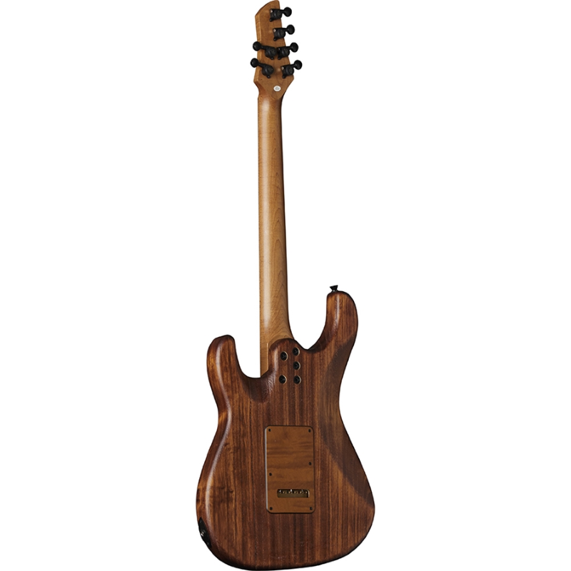Eko Guitars Aire 701 Wildwood