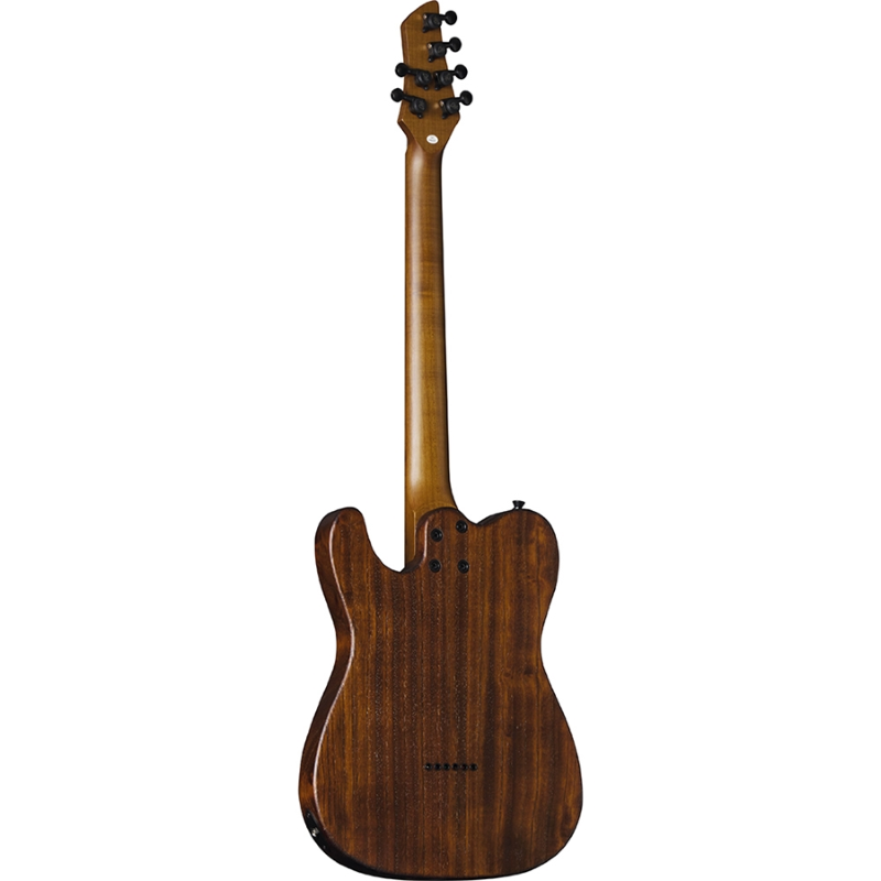 Eko Guitars Tero 701 Wildwood