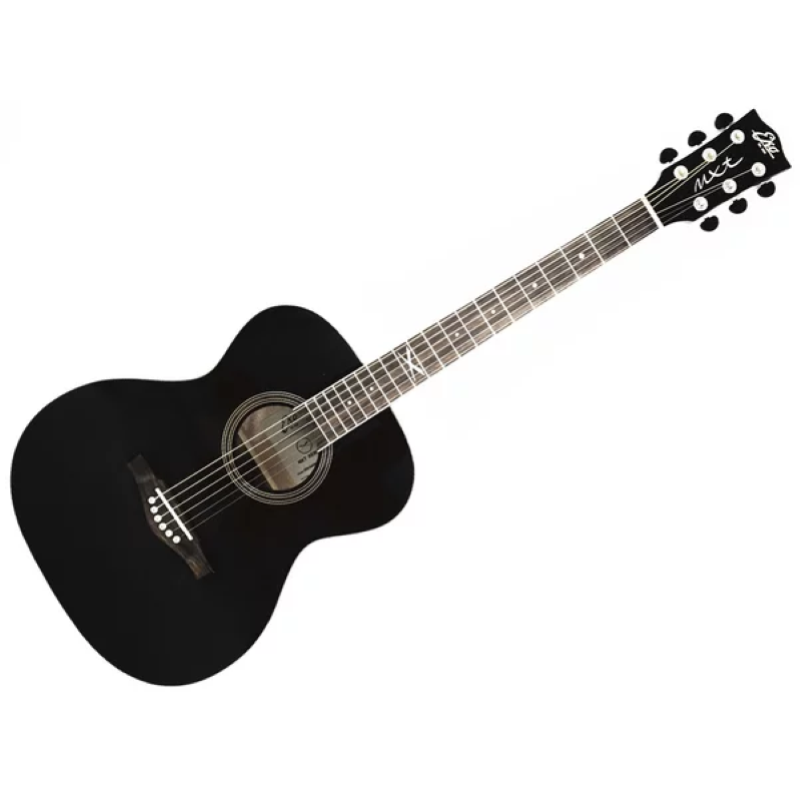 Eko Guitars NXT A100 See Through Black