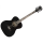 Eko Guitars NXT A100 See Through Black