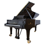 Pianoforti Acustici a Coda