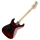 Charvel Warren DeMartini Signature Pro-Mod Blood and Skull, Maple Fingerboard, Blood and Skull