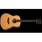 Taylor Gold Label 717e,Indian RW/Torr.Sitka