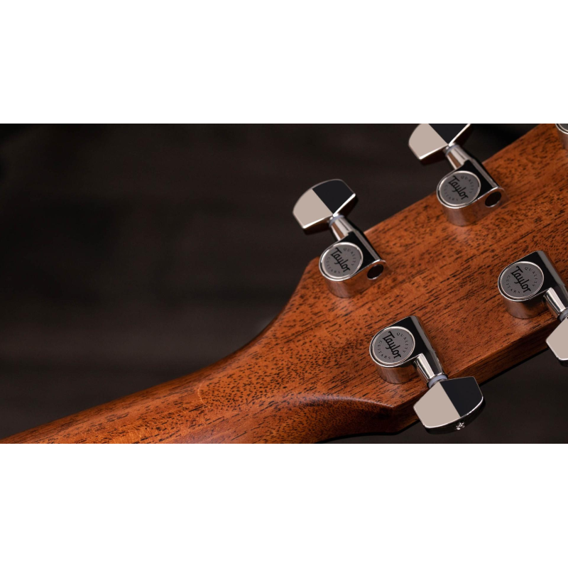 Taylor Gold Label 717e,Indian RW/Torr.Sitka