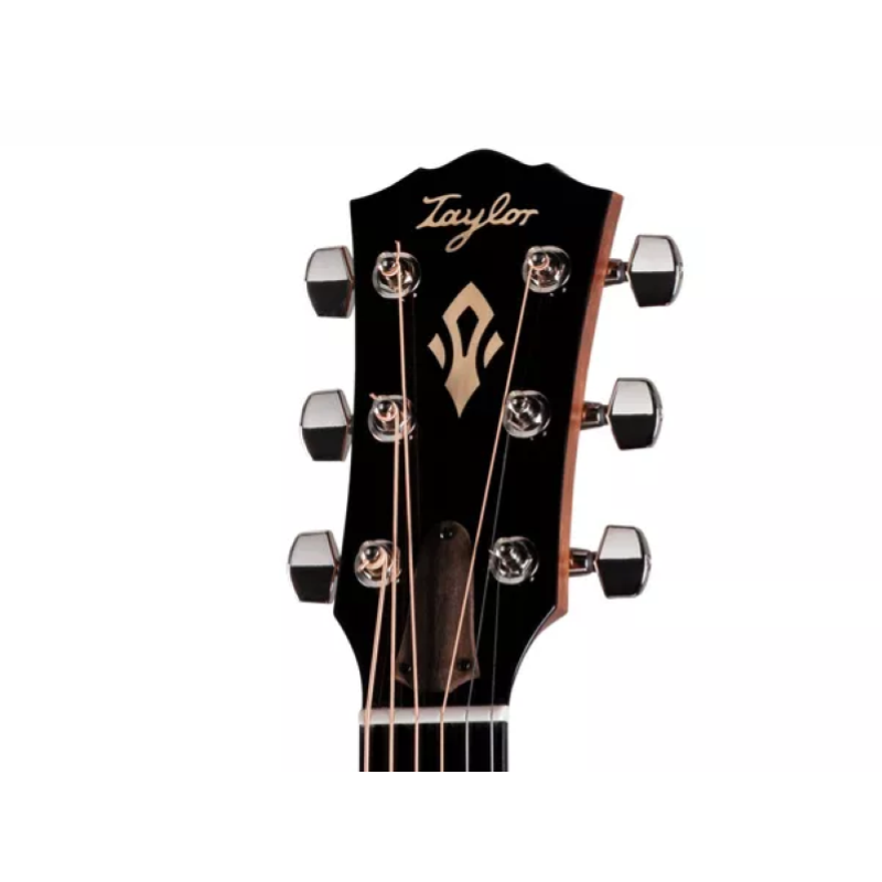Taylor Gold Label 717e SB,Indian RW/Torr.Sitka