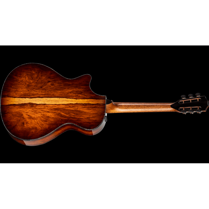 Taylor PS12ce 12-Fret,Honduran Rosewood/Sinker Redwood, V-Class(R)Bracing
