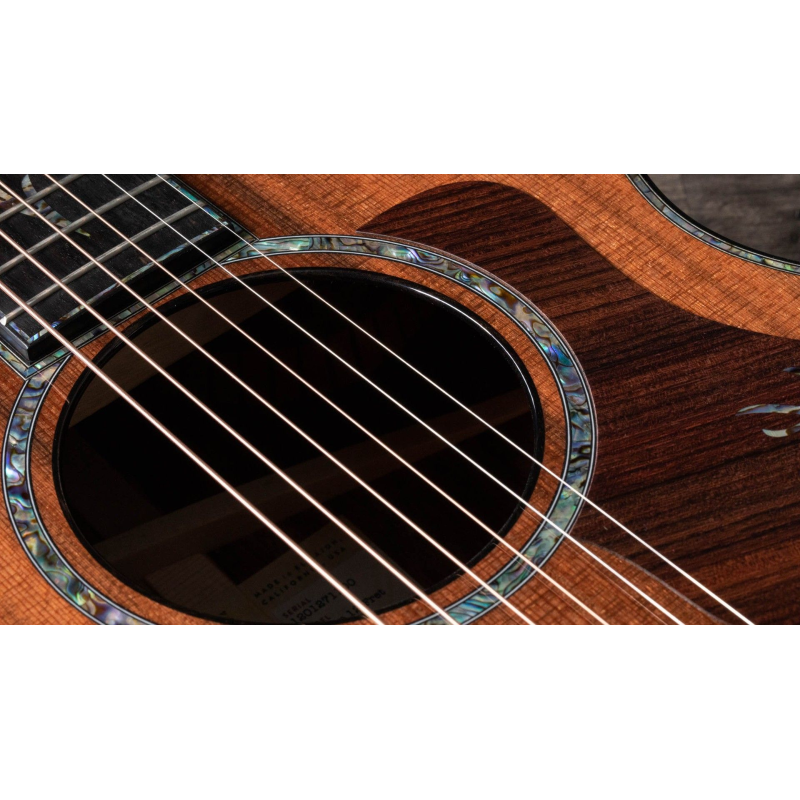 Taylor PS12ce 12-Fret,Honduran Rosewood/Sinker Redwood, V-Class(R)Bracing