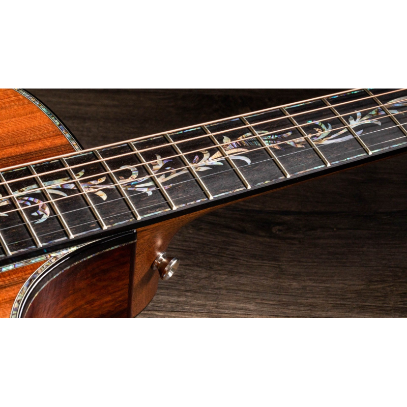 Taylor PS12ce 12-Fret,Honduran Rosewood/Sinker Redwood, V-Class(R)Bracing
