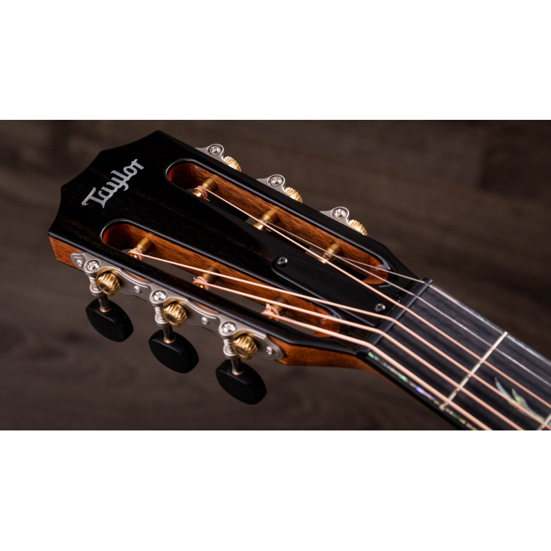 Taylor PS12ce 12-Fret,Honduran Rosewood/Sinker Redwood, V-Class(R)Bracing