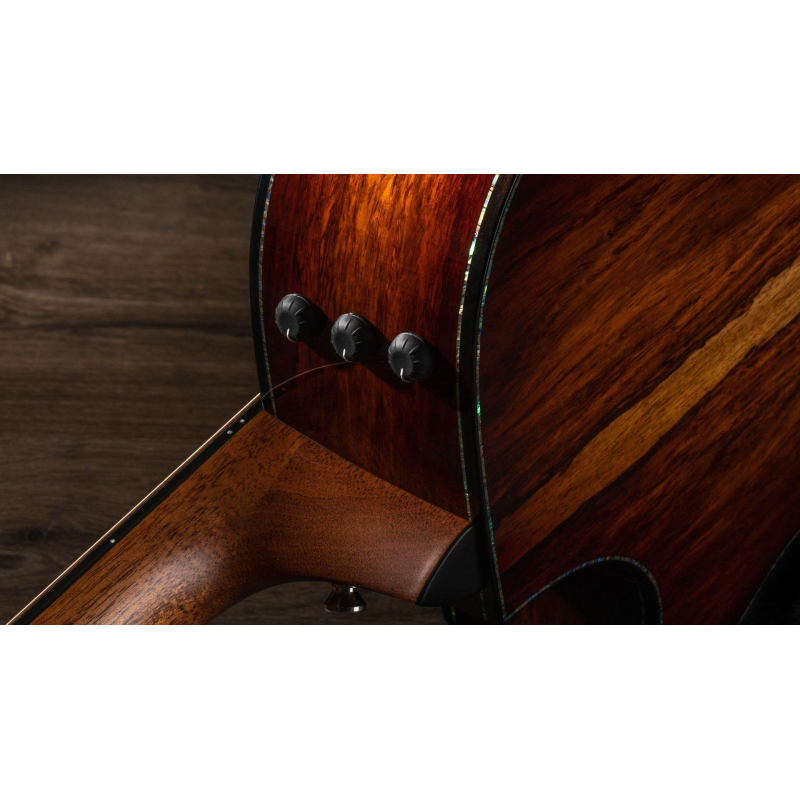 Taylor PS12ce 12-Fret,Honduran Rosewood/Sinker Redwood, V-Class(R)Bracing