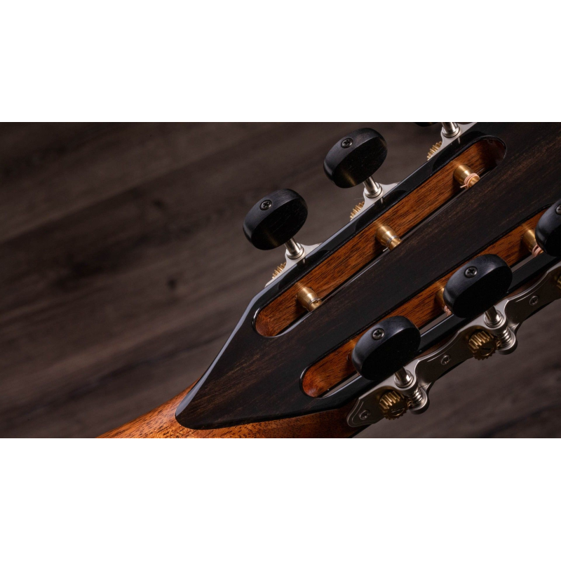 Taylor PS12ce 12-Fret,Honduran Rosewood/Sinker Redwood, V-Class(R)Bracing