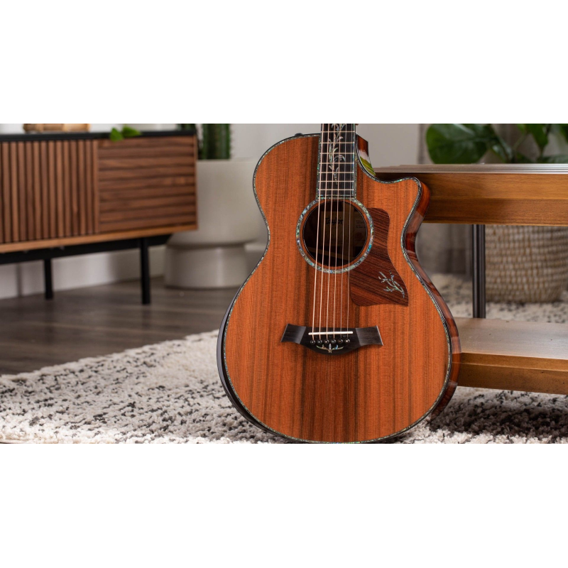 Taylor PS12ce 12-Fret,Honduran Rosewood/Sinker Redwood, V-Class(R)Bracing
