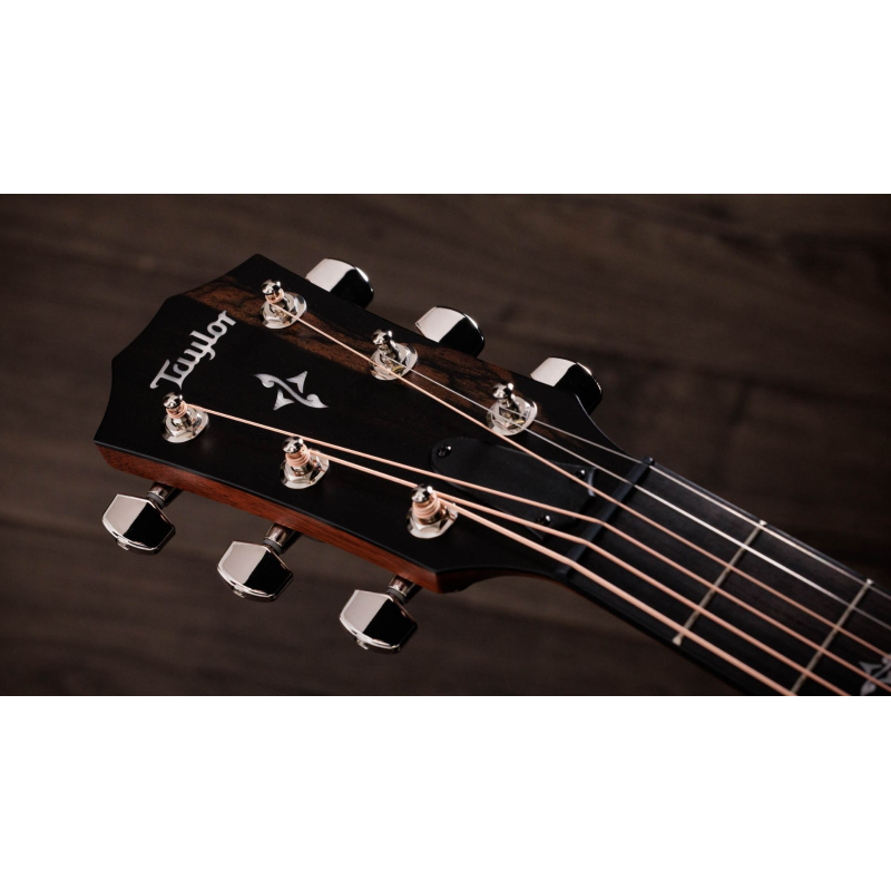 Taylor 412ce-R V-Class Bracing Natural