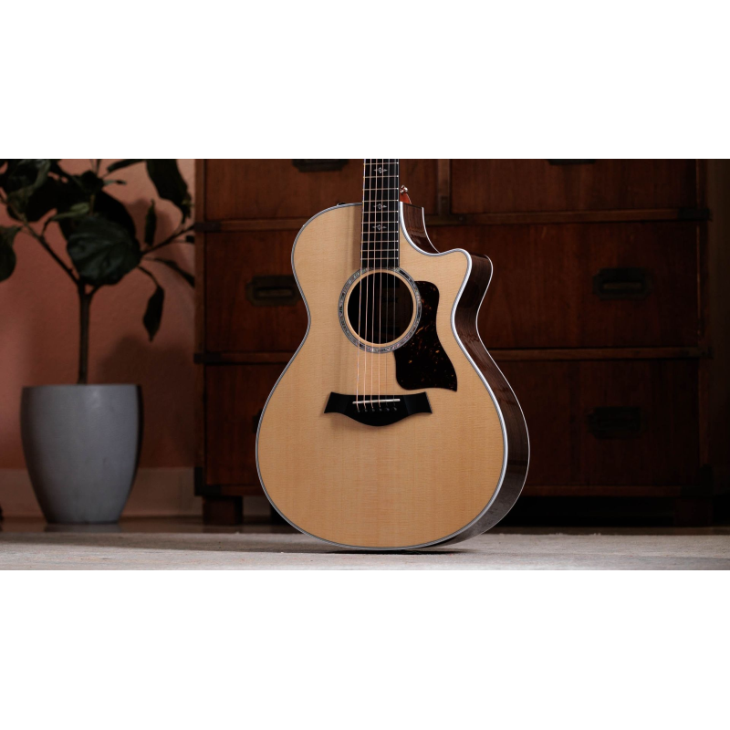 Taylor 412ce-R V-Class Bracing Natural