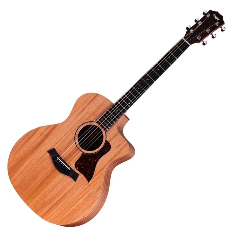 Taylor 24ce,Sapele/Mahogany,Fishman