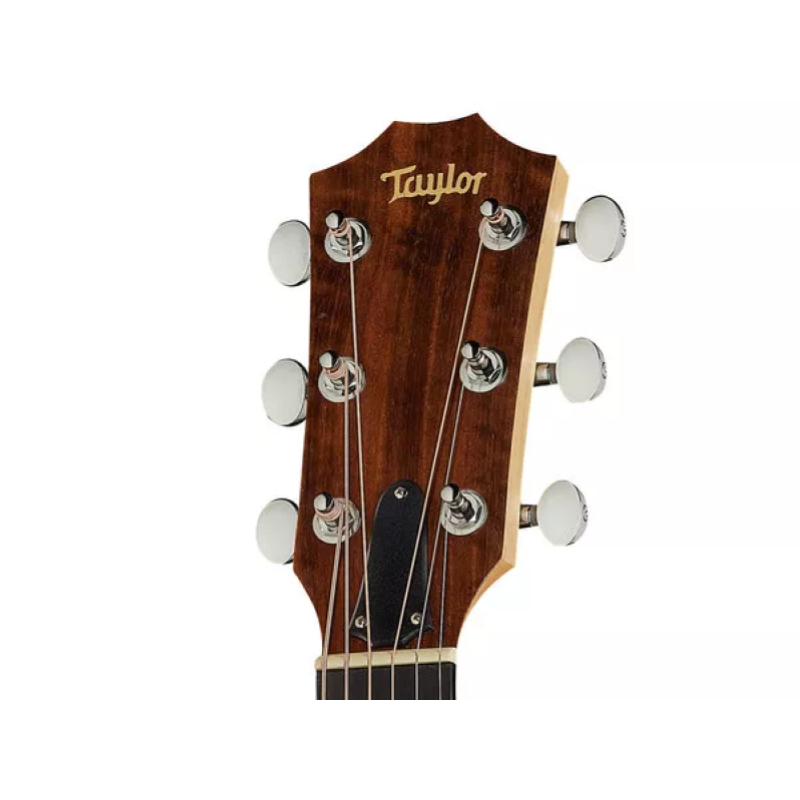 Taylor Big Baby Taylor BBTe ES-B Electronics 