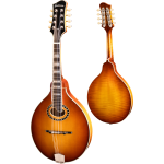 Eastman MD604-GB Goldburst