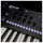 Korg Wavestate SE Sintetizzatore 61 Tasti
