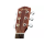 Fender CD60S Dreadnought, Walnut Fingerboard, Natural 0970110021