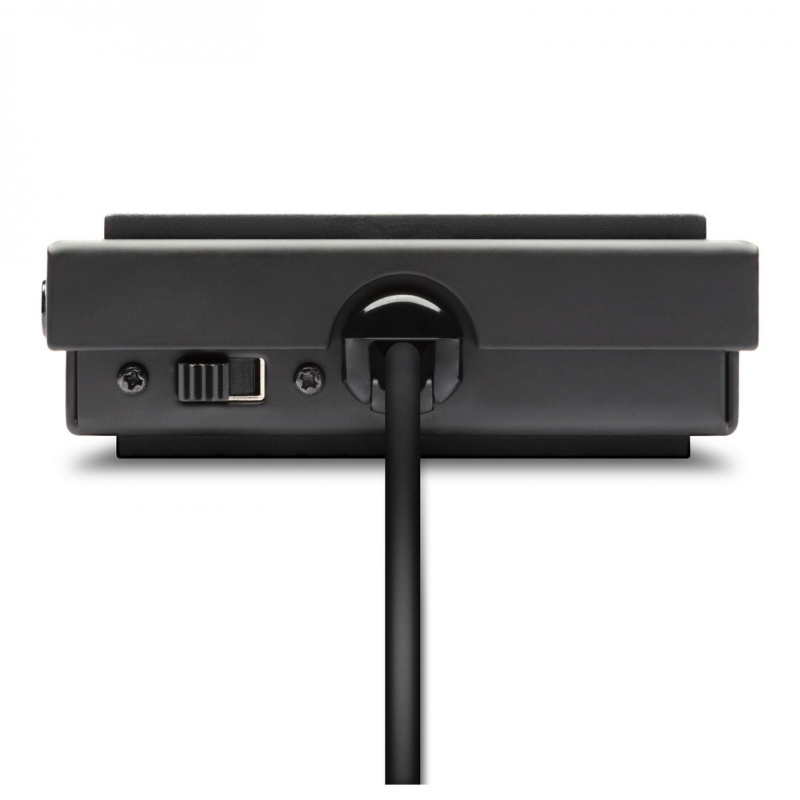 Alesis ASP1 MKII Pedale Sustain 