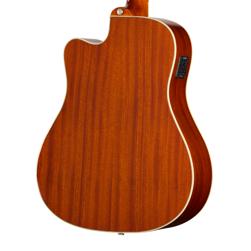 EASHCHCNH1_4_BackBody