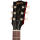 LPJD00VENH1_212050242_5_Headstock