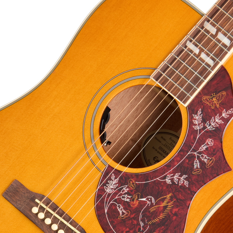 EASHBANNH1_7_SoundHole