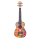 Cascha HH-2611 Tenor Ukulele Art Series Flowers