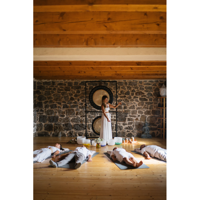 Sela SECH7DK Harmony Chimes 7 Dark in C, incl. Bag and Mallet